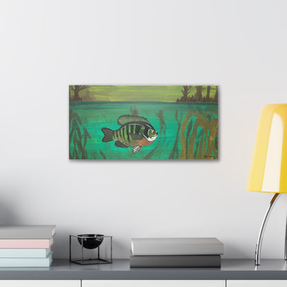 V Hybrid Bluegill