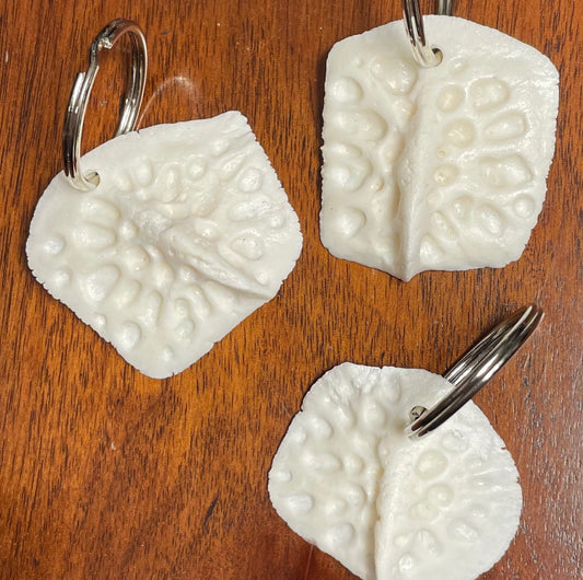 Alligator Scute Keychains