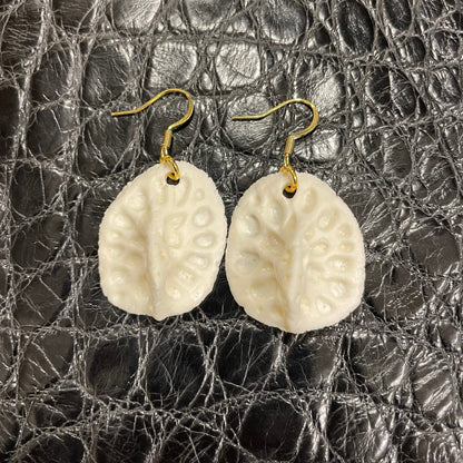 Pair of white alligator scute earrings on a textured black surface