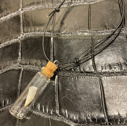 Alligator Baby Tooth Pendant Necklace