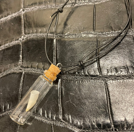 Alligator Baby Tooth Pendant Necklace