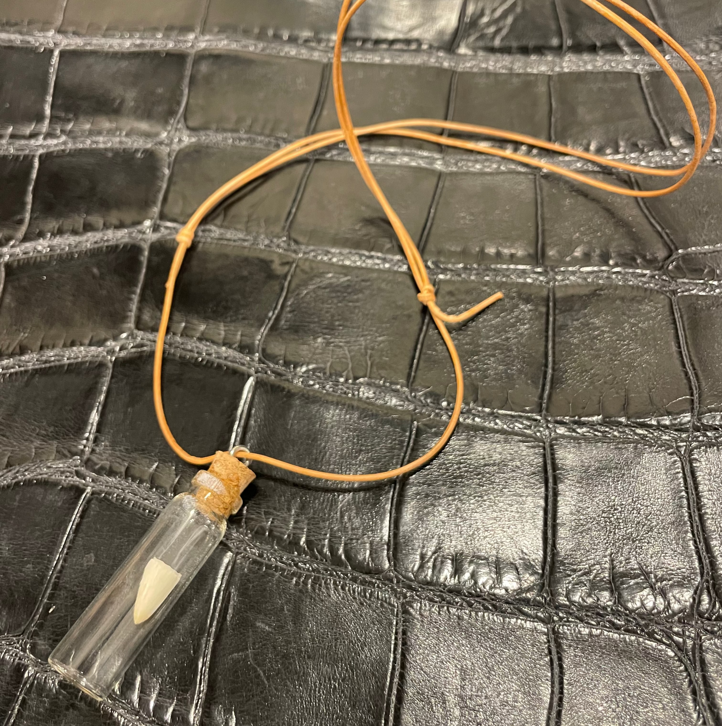 Alligator Baby Tooth Pendant Necklace