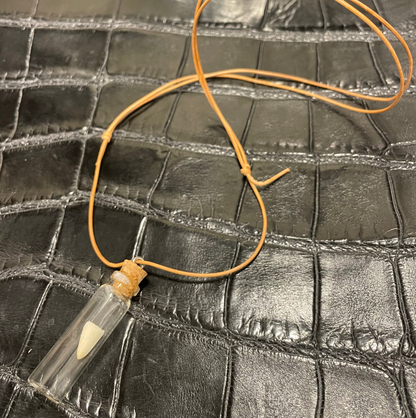 Alligator Baby Tooth Pendant Necklace