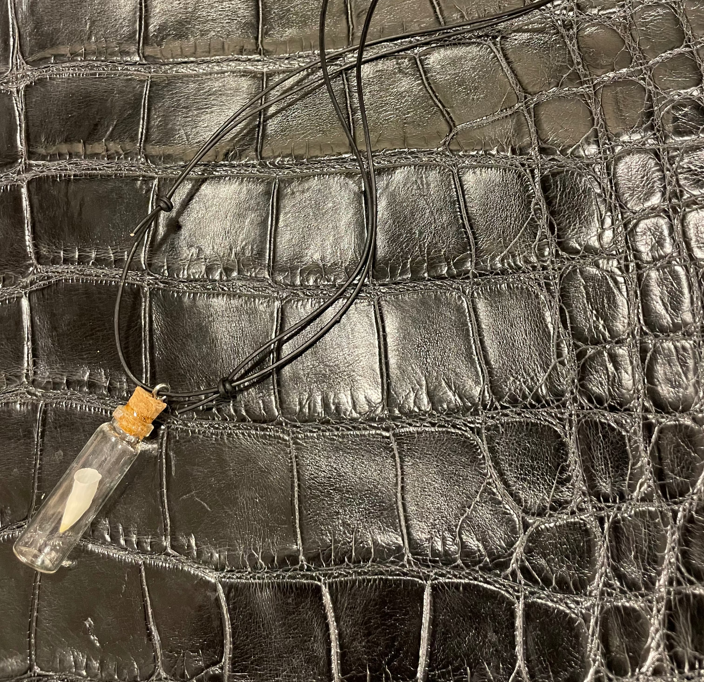 Alligator Baby Tooth Pendant Necklace