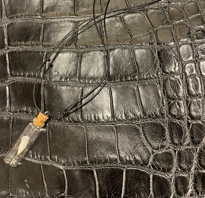 Alligator Baby Tooth Pendant Necklace