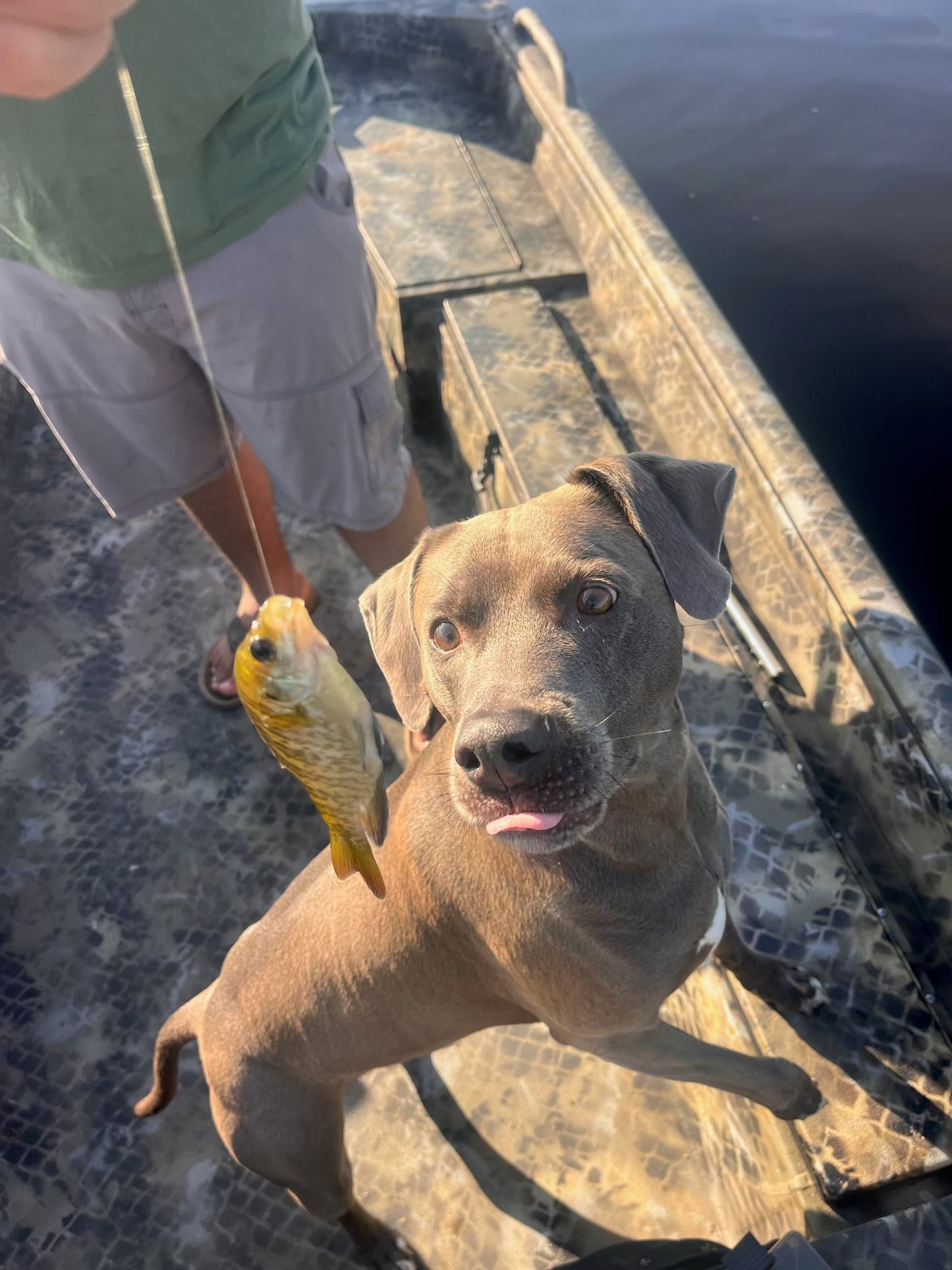 Florida Photography & Fishing Tour Reservation Deposit